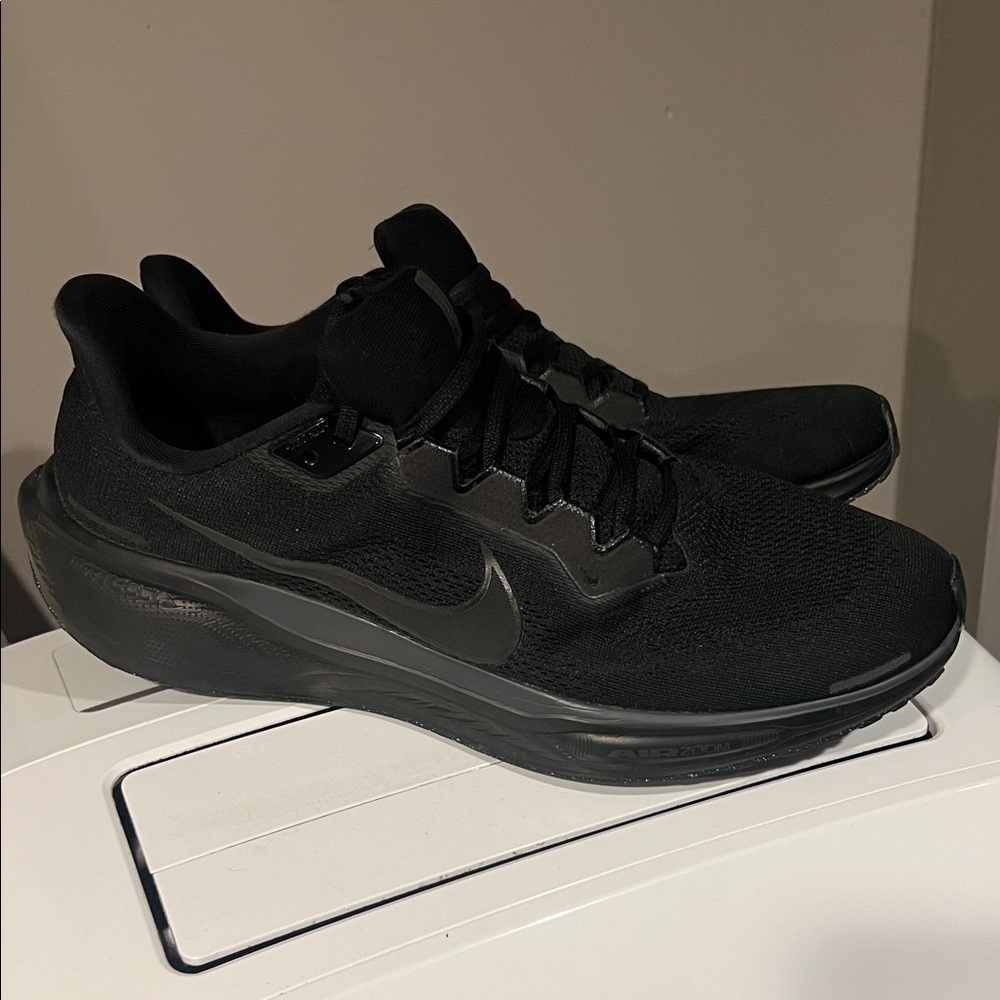 Nike Air Pegasus 41